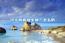 什么叫病媒生物？怎么防治