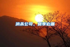 消殺公司，夏季必備